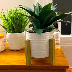 Home doctor fake plant